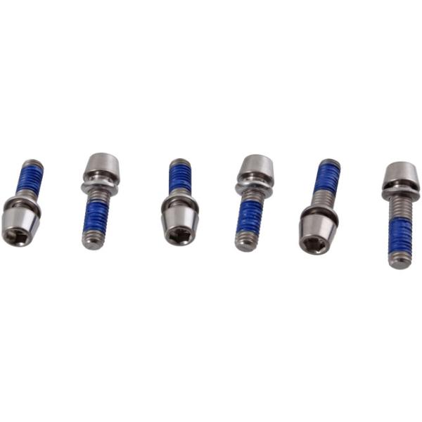 Ritchey Schraubenset Titan C220 6pcs silver  Silber