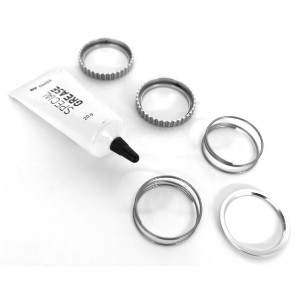 DT Swiss Zahnscheiben Kit DEG 90T 2 Stk. inkl. Feder Fett  Schwarz