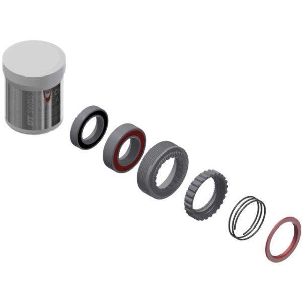 DT Swiss Zahnscheiben Kit EXP 54T 180 2 Stk. inkl. Feder Fett und 2 Lager Stahl  Schwarz