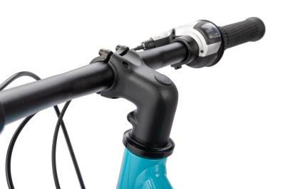 NALOO Chameleon 20", Mk2.1, 8-Speed, Light Blue Produktbild 4