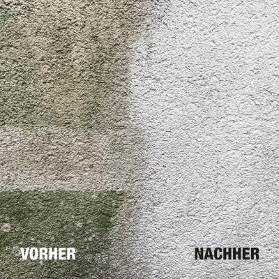 Bio-Chem Stein- und Fassadenreiniger 750 ml mit Spr&uuml;hkopf  Produktbild 4