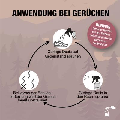 Bio-Chem Geruchs- und Fleckenentferner 750 ml mit Spr&uuml;hkopf  Produktbild 1