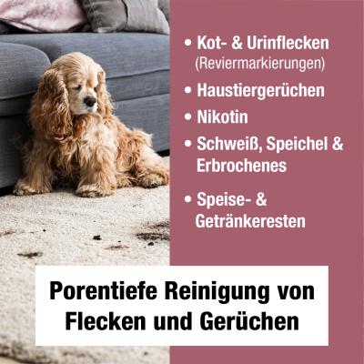 Bio-Chem Geruchs- und Fleckenentferner 750 ml mit Spr&uuml;hkopf  Produktbild 3