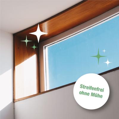 Bio-Chem Glasreiniger 750 ml mit Spr&uuml;hkopf  Produktbild 4