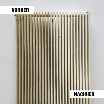 Bio-Chem Kunststoffreiniger 500 ml mit Spr&uuml;hkopf  Produktbild 4