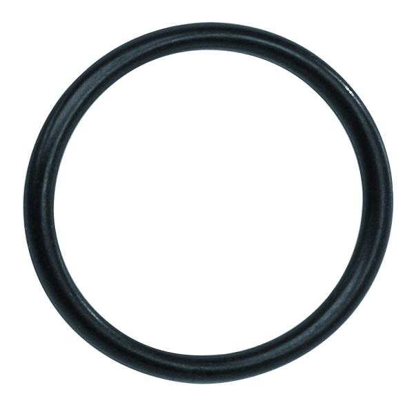 Bosch O-Ring BDU3xx / BDU33YY schwarz 