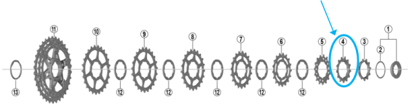 Shimano Zahnkranz CS-HG700 13 Z&auml;hne Spacer-Typ 12-25T 