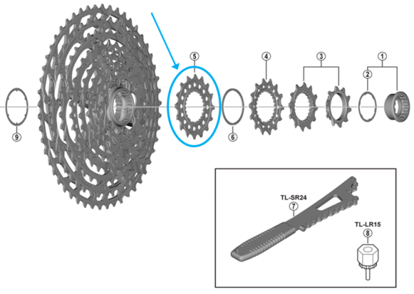 Shimano Zahnkranz CS-M9100-12 16 Z&auml;hne 
