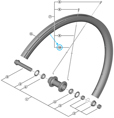 Shimano Speiche WH-RS710-C32-TL-R 281.5 mm rechts  Produktbild 1