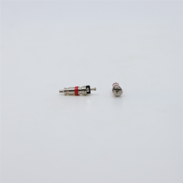 Rock Shox Air Valve Kit - Schrader Core Qty 2 N/A