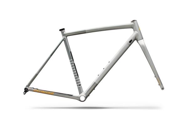 Specialized Crux DSW Frameset - D'Aluisio Smartweld Alloy Shadow Silver/California Sunshine 61