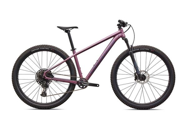 Specialized Rockhopper Expert Satin Quartz Metallic / Mauve Metallic M - 29