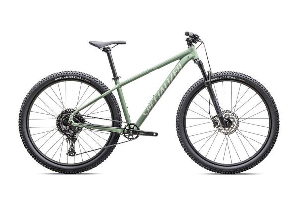 Specialized Rockhopper Comp Gloss Pistachio / White Mountains XXL - 29
