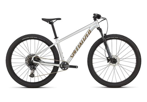 Specialized Rockhopper Expert Gloss Silver Dust / Satin Burnt Gold Metallic M