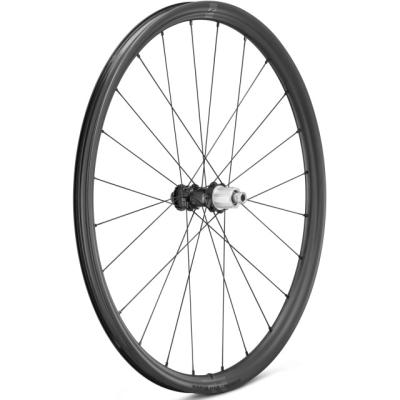 Fulcrum Rapid Red Carbon DB Gravel Hinterrad Mod. 22 C25 2-WayFit AFS 12x142mm HG 11/12S  Black 700 C, 12 mm x 142 mm Produktbild 1