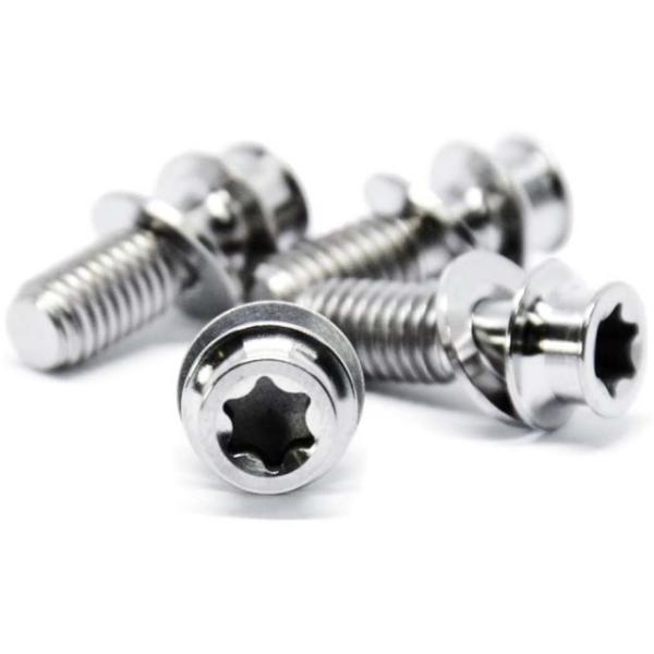 Trickstuff Bremssattelschrauben M6 Titan, 2 Stk, M6x16, T30  Silber