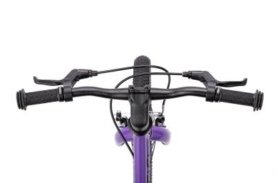 NALOO Chameleon 16", Mk2, SingleSpeed, Purple Produktbild 1