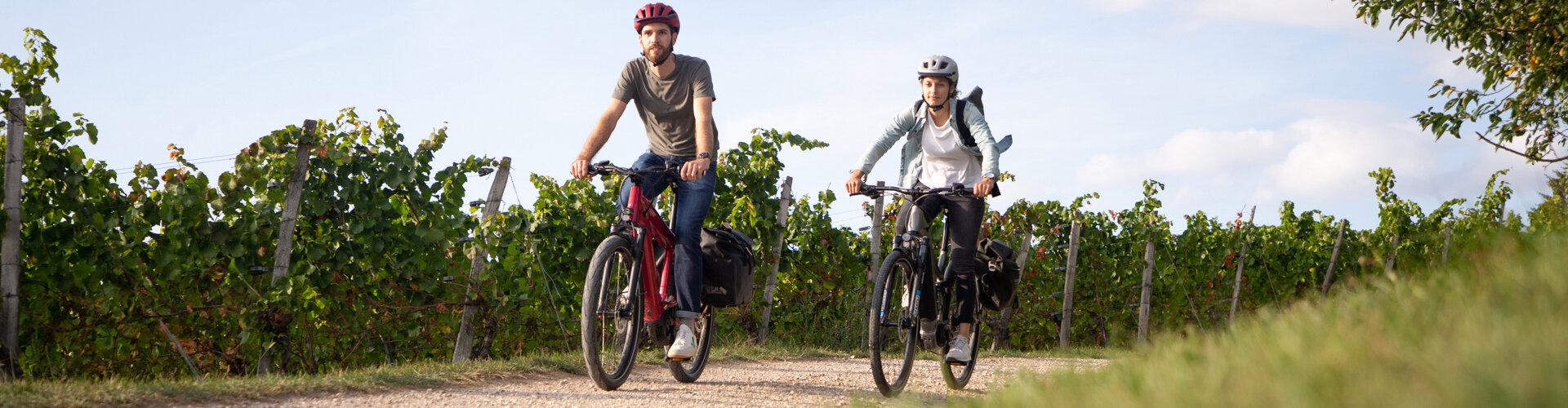  - Velothek AG B&uuml;tschwil