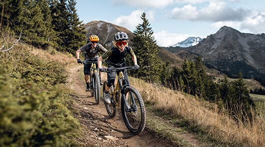 Kategorie All Mountain und Touren Fullys