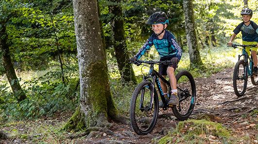 Kategorie Kinder-Bikes (bis ca. 9 Jahre)