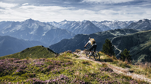 Mountain-Bikes