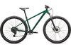 Specialized ROCKHOPPER SPORT KH XXL - 29 PINE GREEN/OBSIDIAN