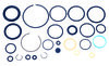 FOX 14-16 Seals Specialized Micro Brain Damper Rebuild 